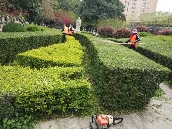 云浮景觀園林綠化工程資料