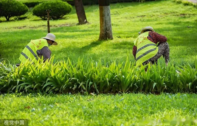 如何進(jìn)行學(xué)校操場的園林綠化規(guī)劃？