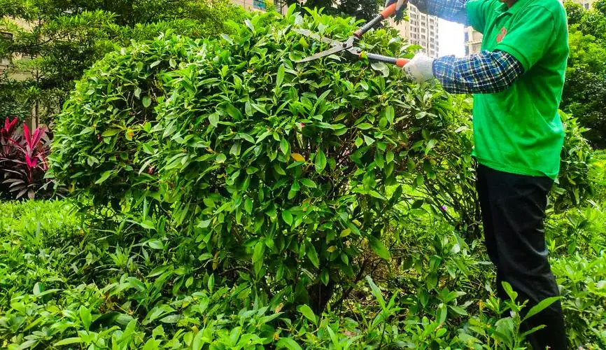 城管治理綠化工程方案