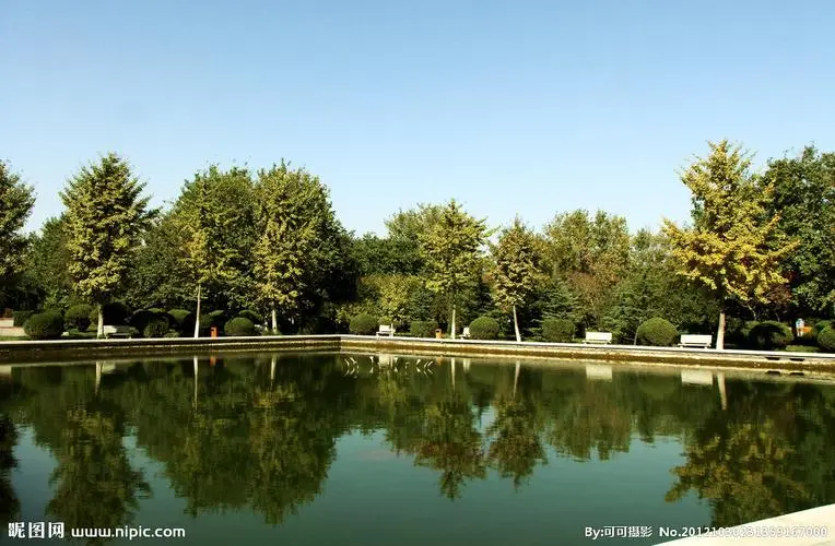 公園管理：游客投訴頻繁，管理團隊積極改進服務質量