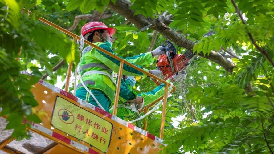 明光市邊坡綠化工程